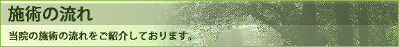 施術の流れのページへ